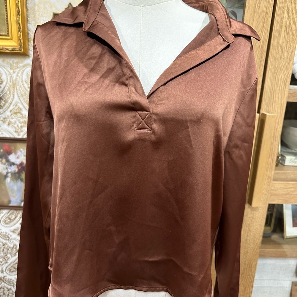Pleione Silky Elegant Brown Women's Top size medium